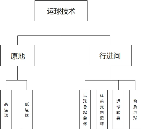 绳梯训练篮球_0